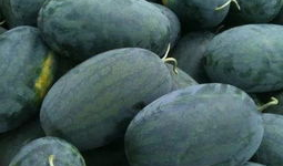 红黑料吃瓜爆料,揭秘娱乐圈幕后真相